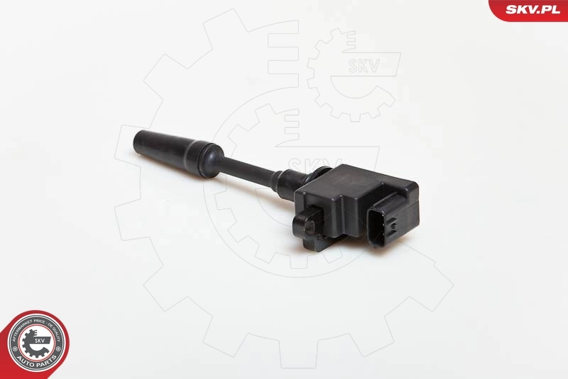 Ignition Coil